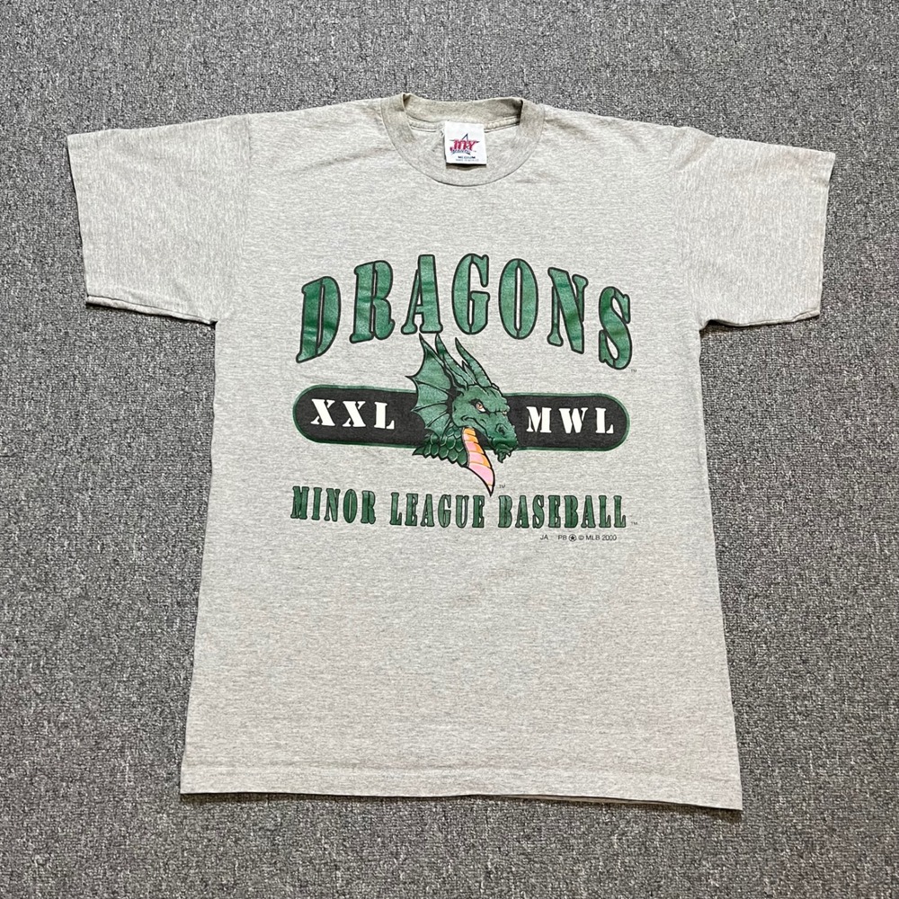 Vintage‎ Dayton Dragons T-Shirt Mens Medium Gray 2000 Minor League Baseball MiLB